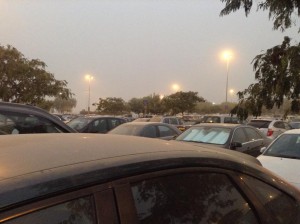 the cars await our return...